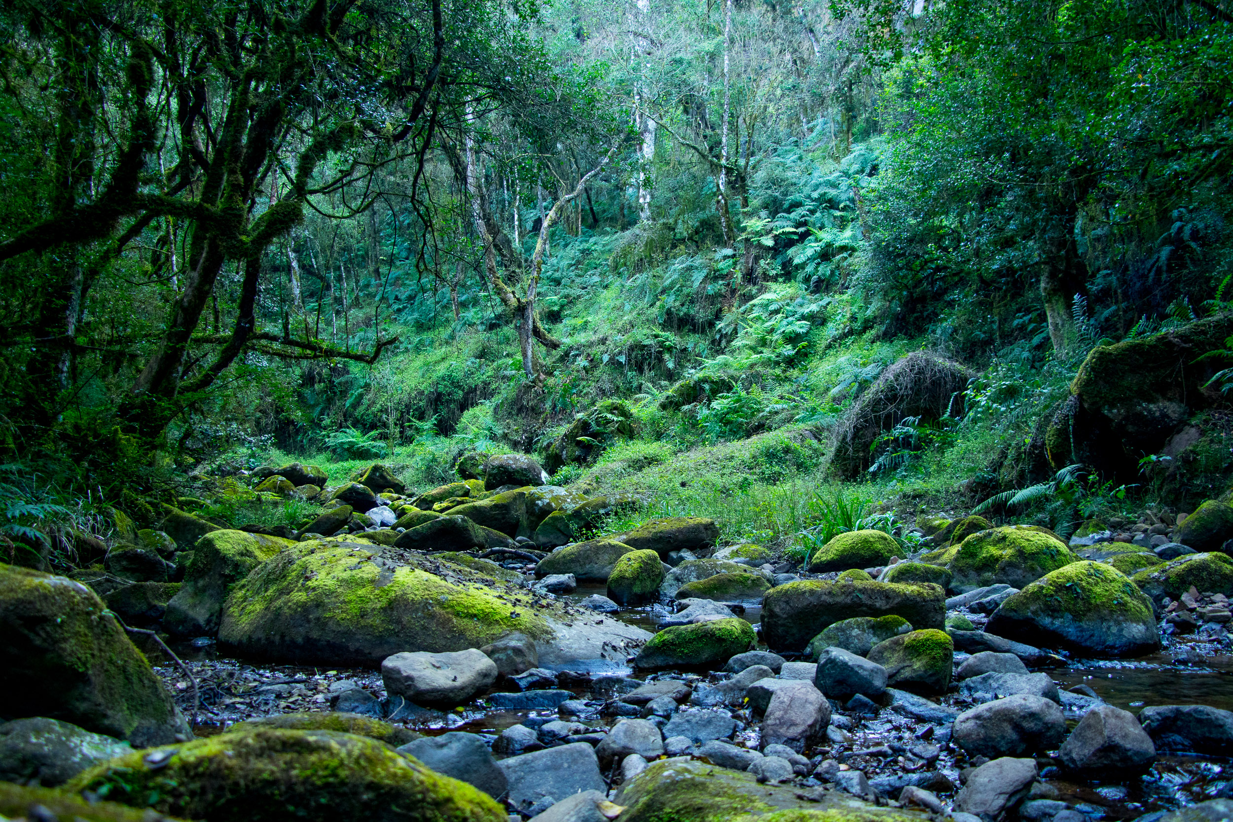 Photo by Nat Geo explorer – Tessa Barlin 2